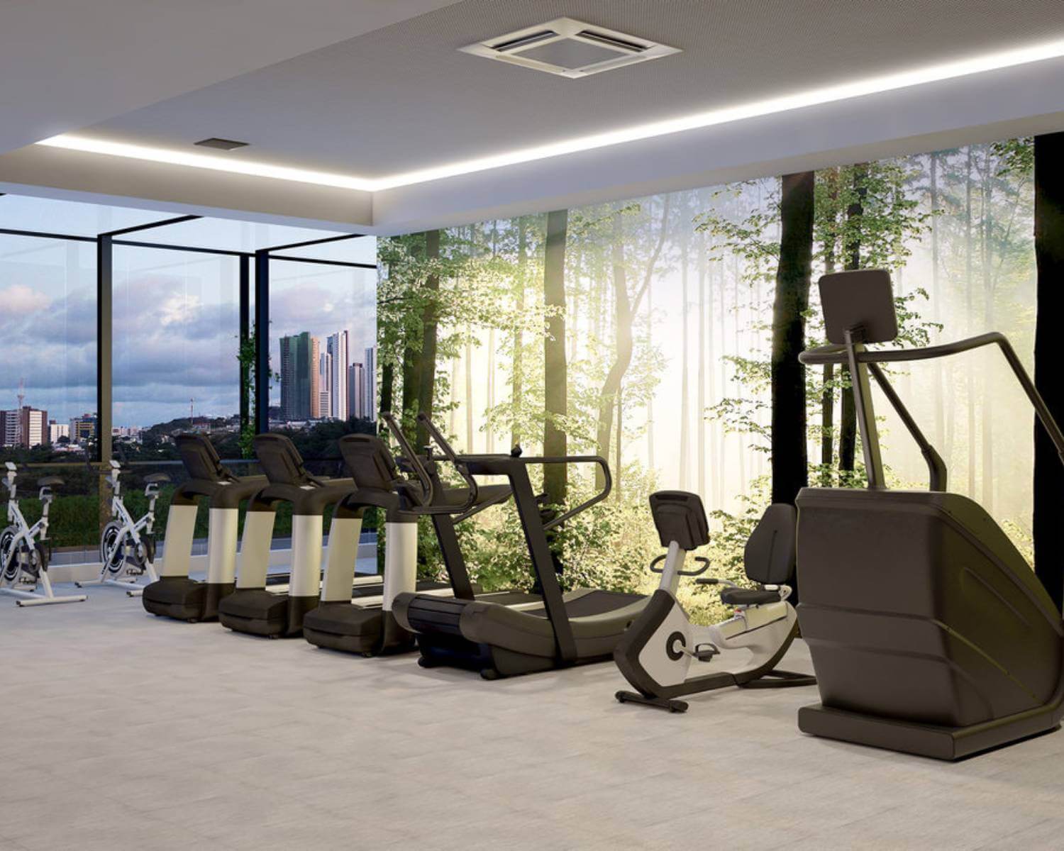 Academia Aeróbico Academia Aeróbico